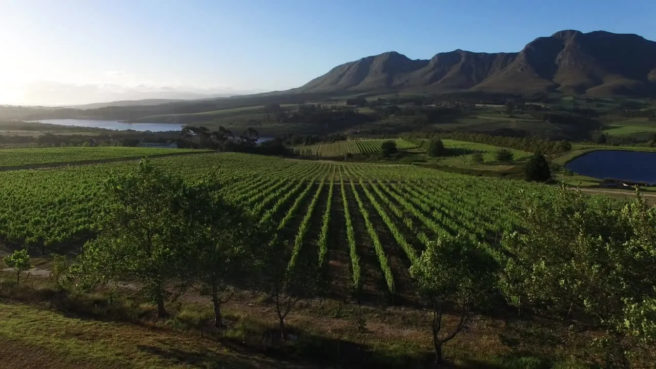 Hero image first frame of video background